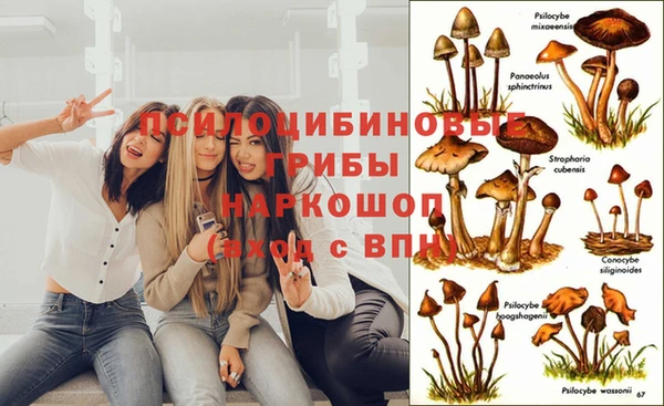 амф Семёнов