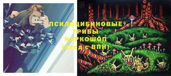 герыч Сатка